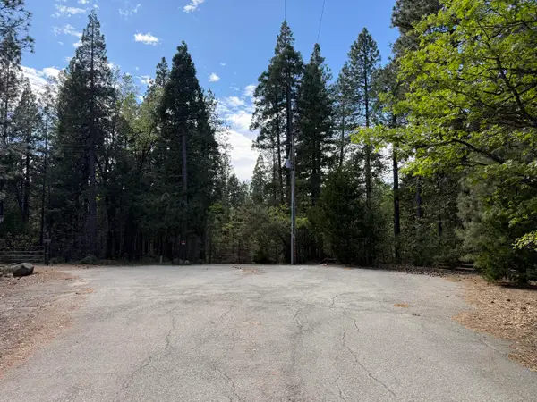 Dandelion Drive, Shingletown, CA 96088