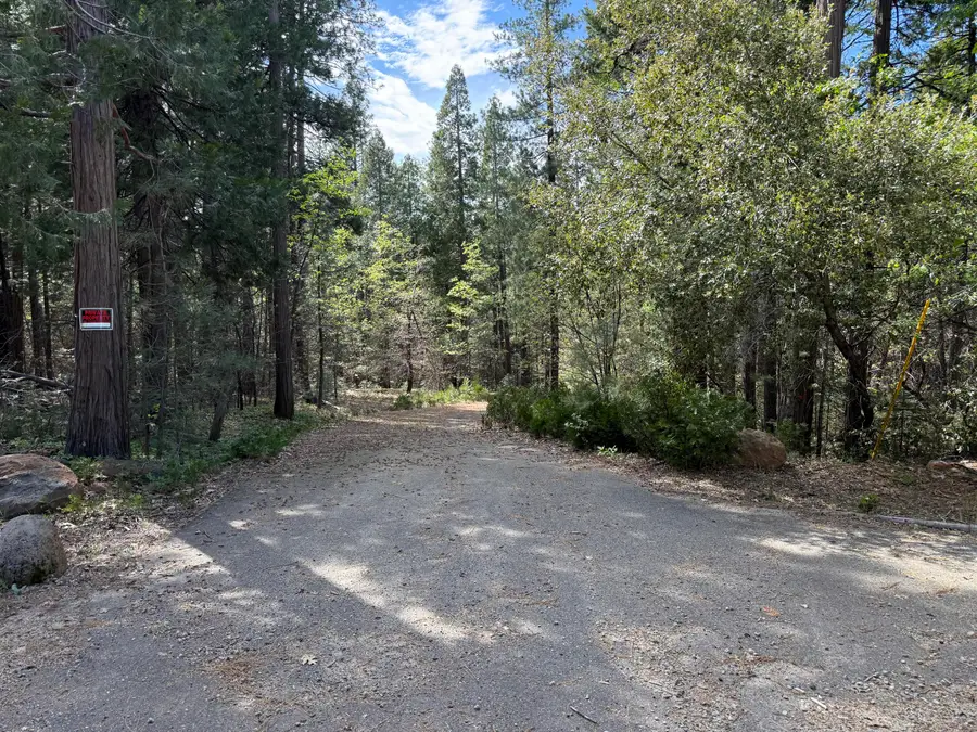 Dandelion Drive, Shingletown, CA 96088 - #2