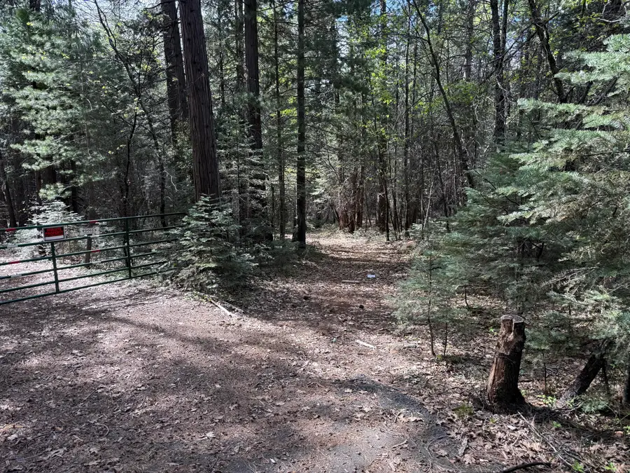 Dandelion Drive, Shingletown, CA 96088 - #3