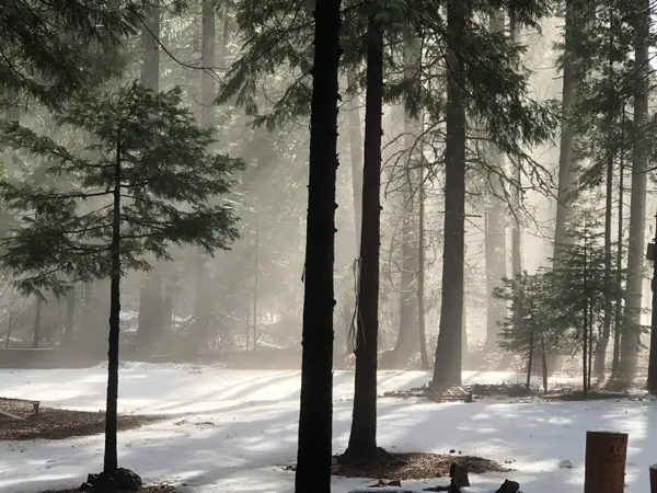 Side Bottom Road, Shingletown, CA 96088