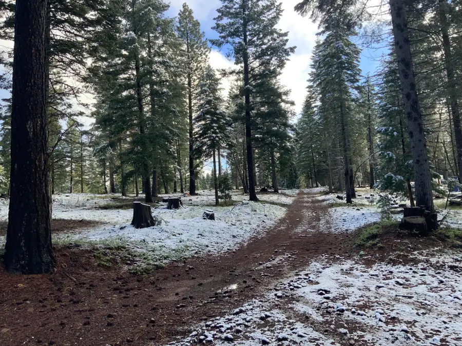 0 Mccumber Lake Road, Shingletown, CA 96088 - #3