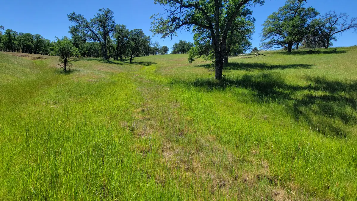 Lot 63 Mccoy Road, Cottonwood, CA 96022 - #1