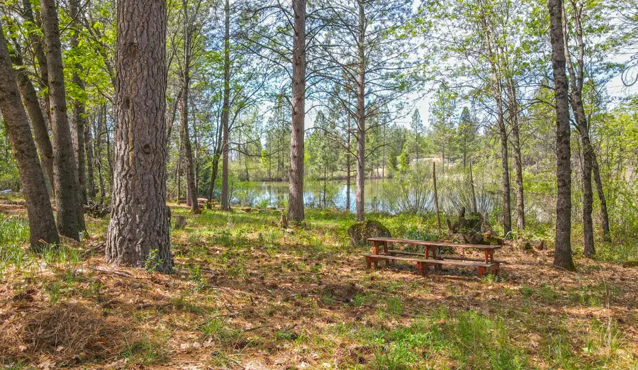 29822 California 44, Shingletown, CA 96088 - #2