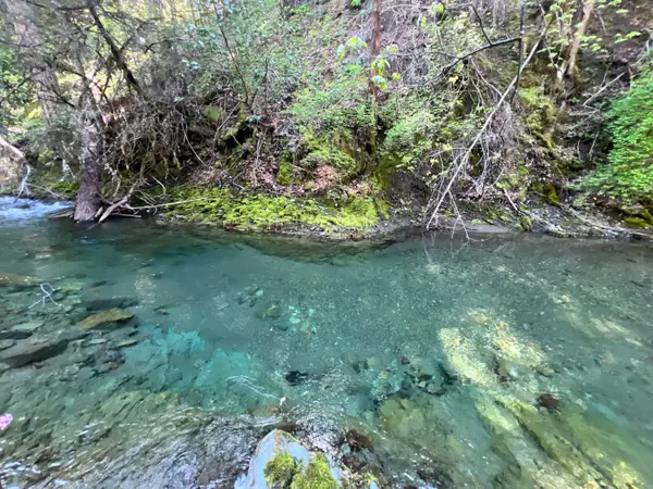 1500, 1551 Reading Creek Road, Douglas City, CA 96024