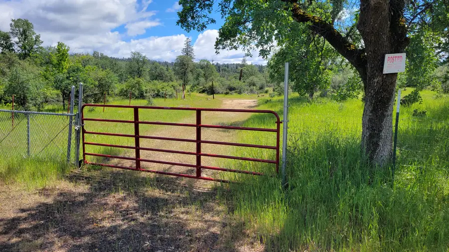 000 Ole Avenue, Manton, CA 96059 - #2