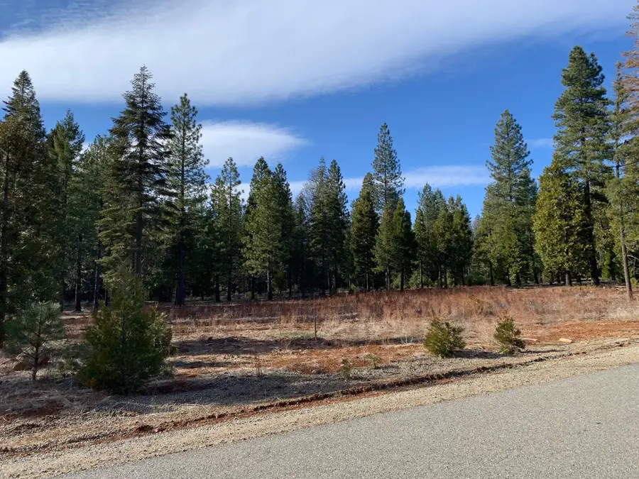 Lot 34 Princess Pine Place, Shingletown, CA 96088 - Image #2