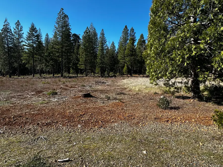 Lot 34 Princess Pine Place, Shingletown, CA 96088 - Image #3