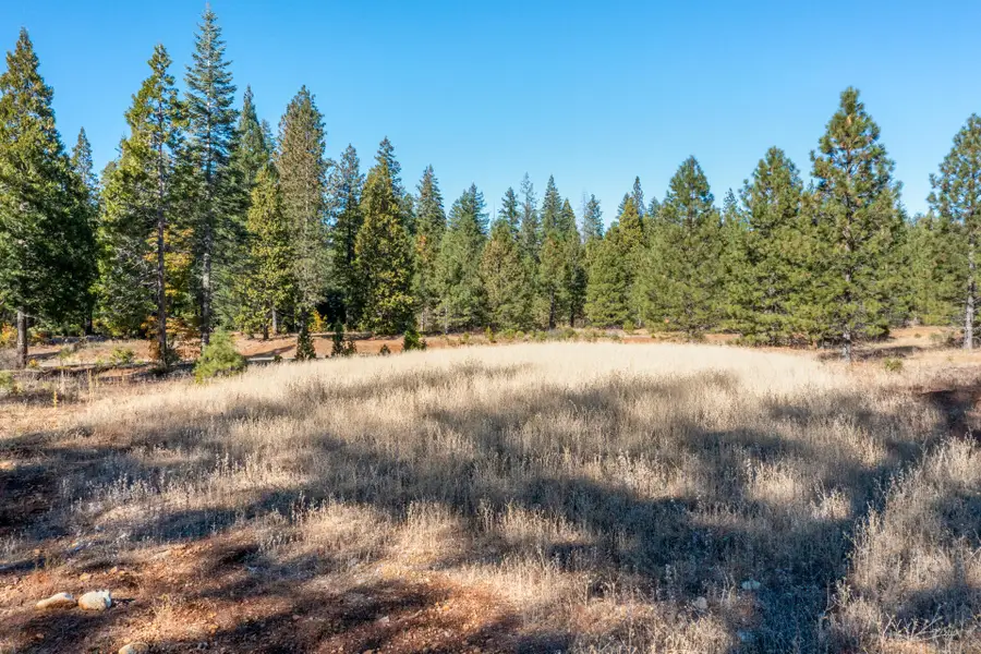 Lot 35 Princess Pine Place, Shingletown, CA 96088 - Image #3
