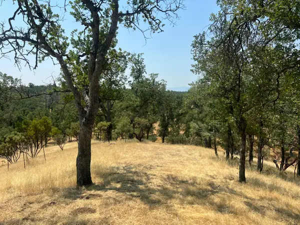 63 Little Oak Lane, Cottonwood, CA 96022