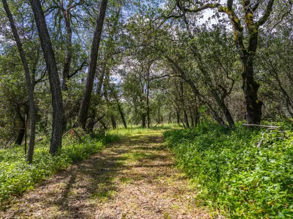 506 Black Canyon Road, Shasta Lake, CA 96019