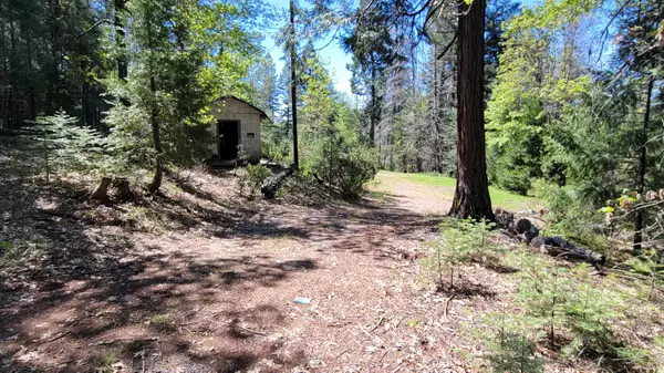 21492 Cove Road, Montgomery Creek, CA 96065