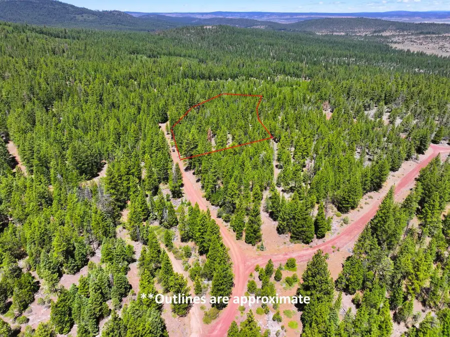 8193 Carlsberg Road, Alturas, CA 96101 - #2