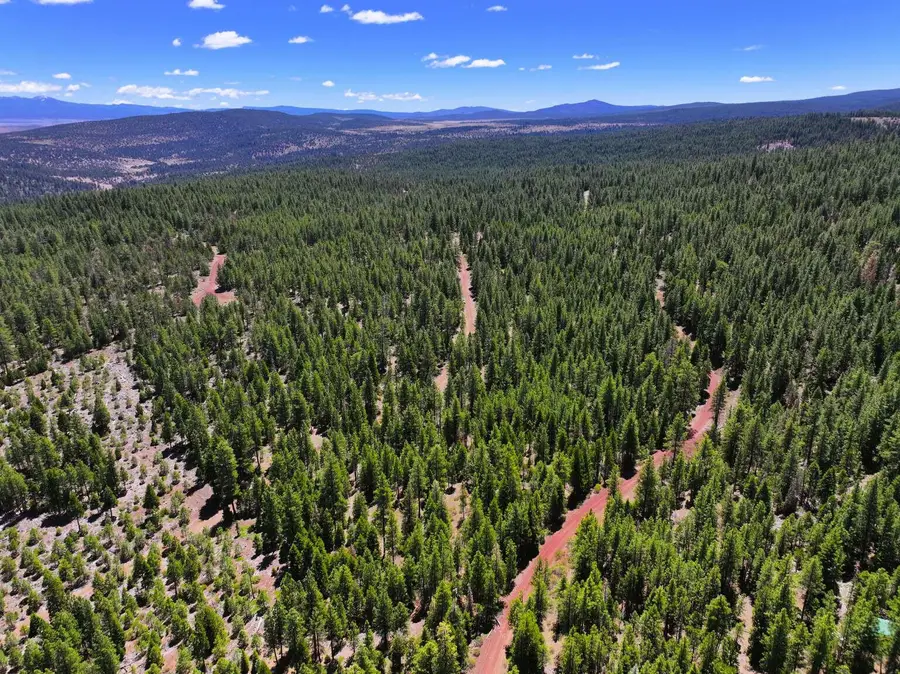 8193 Carlsberg Road, Alturas, CA 96101 - #3