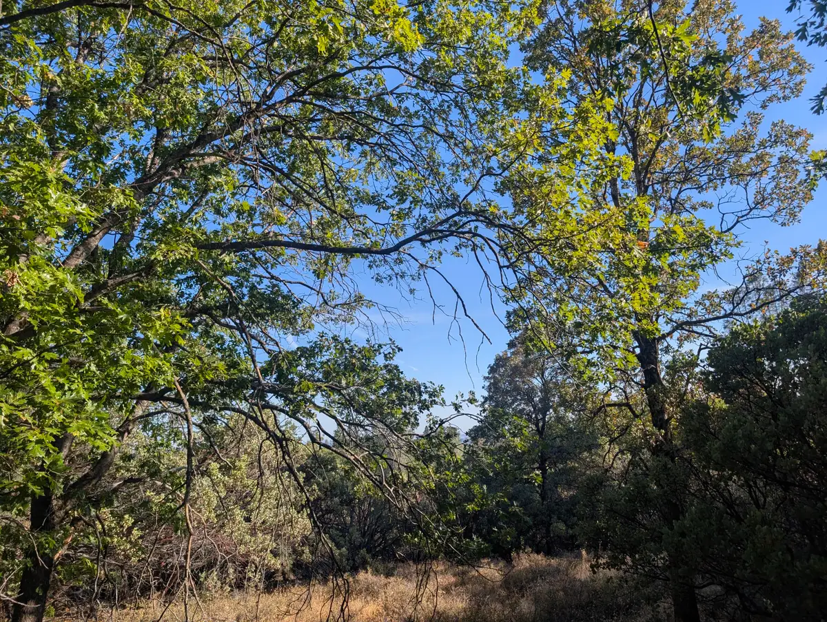 000 Rocky Top Road, Bella Vista, CA 96008 - #1