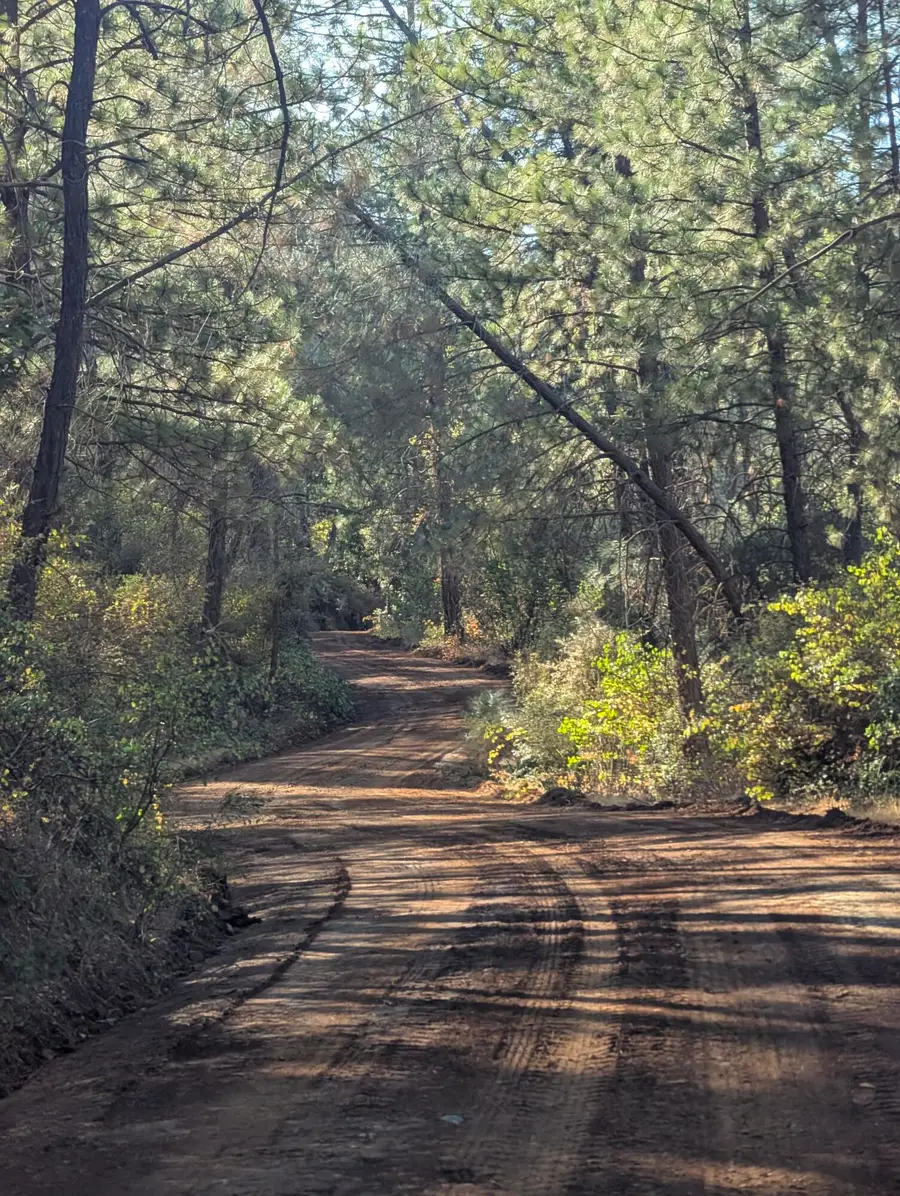 000 Rocky Top Road, Bella Vista, CA 96008 - #3