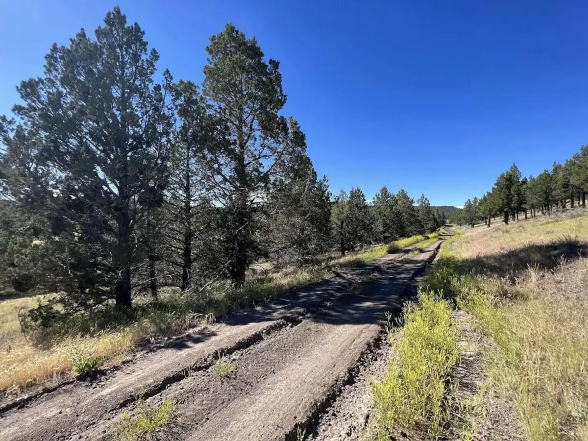 639 Pheasant Drive, Alturas, CA 96101 - #1