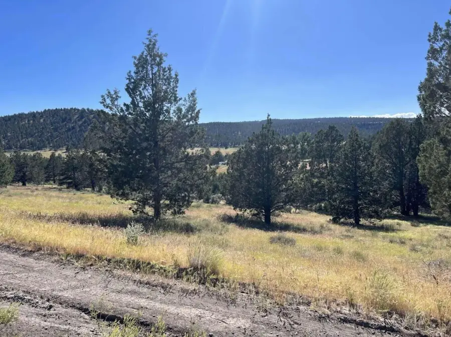 639 Pheasant Drive, Alturas, CA 96101 - #3
