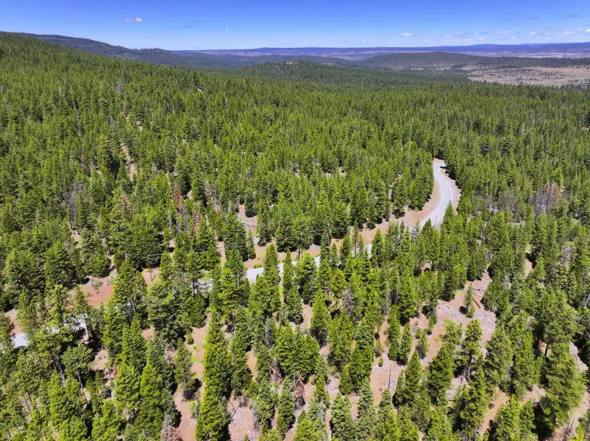 7792 California Pines Boulevard, Alturas, CA 96101 - #1