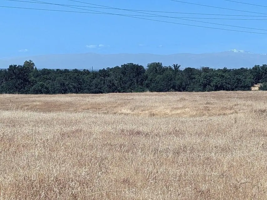 Lot 21 Lawndale Drive, Cottonwood, CA 96022 - Image #3