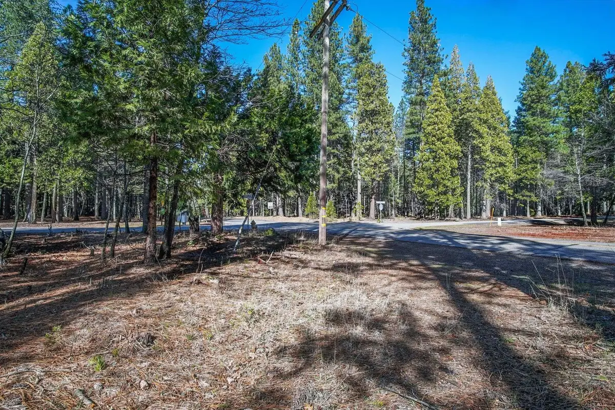 Woodridge Drive, Shingletown, CA 96088 - #1