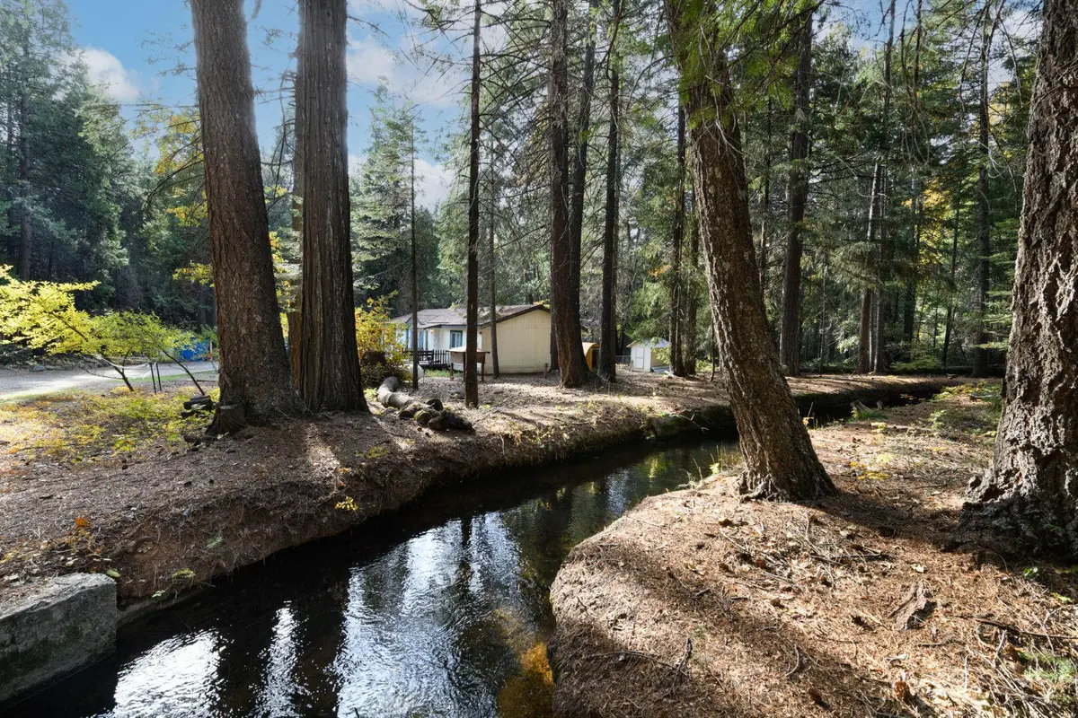 7528 Leaning Cedar Lane, Shingletown, CA 96088 - #1