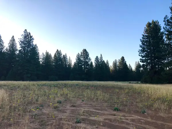 Black Ranch Road, Burney, CA 96013