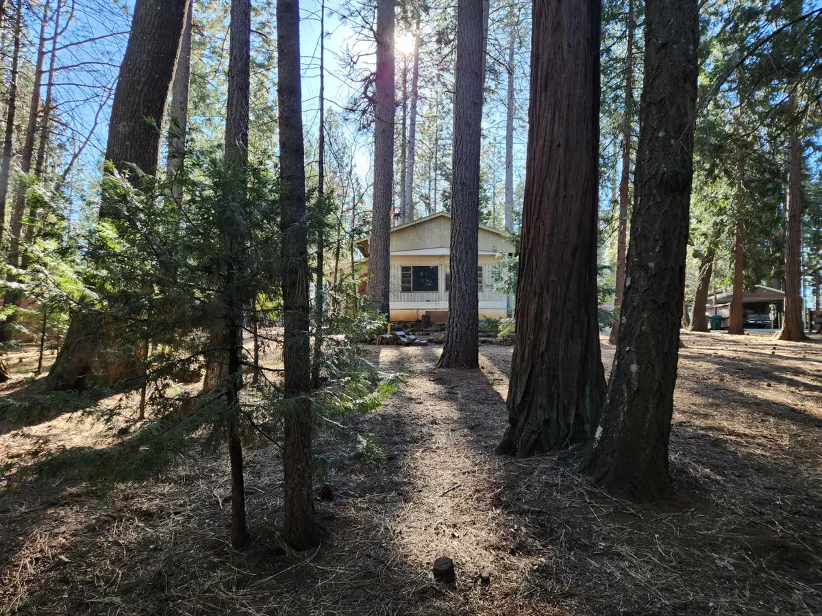 30629 Thumper Drive, Shingletown, CA 96088 - #1
