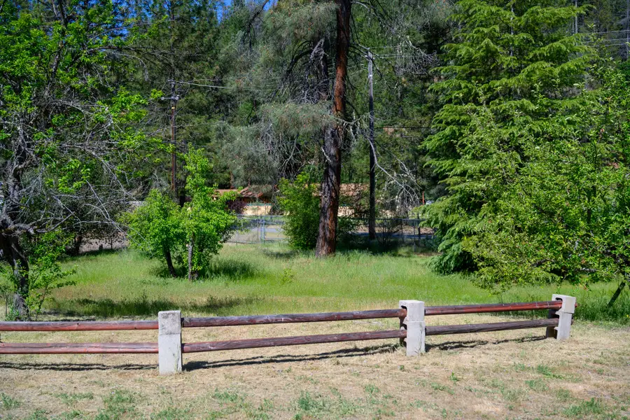 590 Reo Lane, Douglas City, CA 96024 - #3