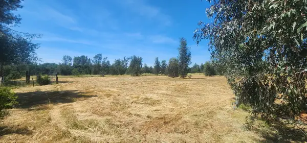 6582 Saddle Trail, Anderson, CA 96007