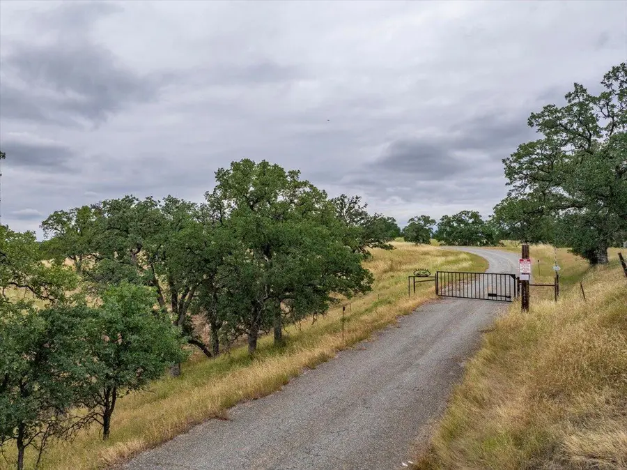 Paynes Creek Road, Red Bluff, CA 96080 - #2