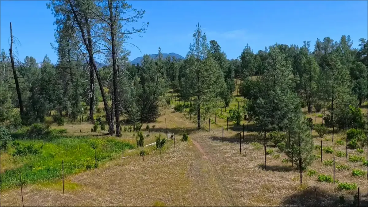 000 Wanda Lane, Redding, CA 96003 - #1