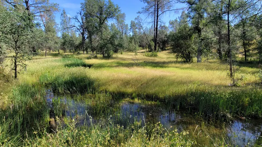 000 Wanda Lane, Redding, CA 96003 - #2