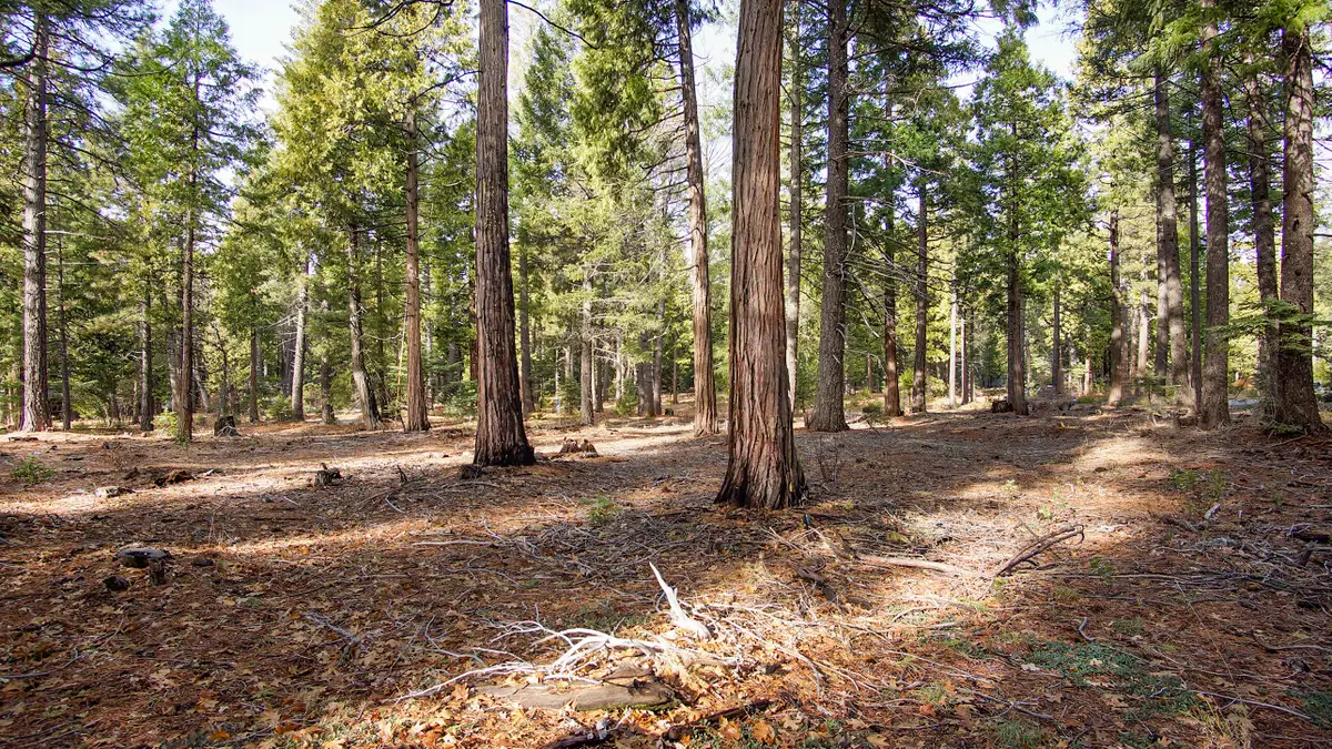Lot 3 Ritts Mill Road, Shingletown, CA 96088 - #1