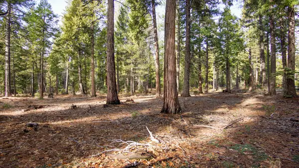 Lot 3 Ritts Mill Road, Shingletown, CA 96088