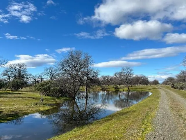322 acres Kingsland Way, Cottonwood, CA 96022 - #1
