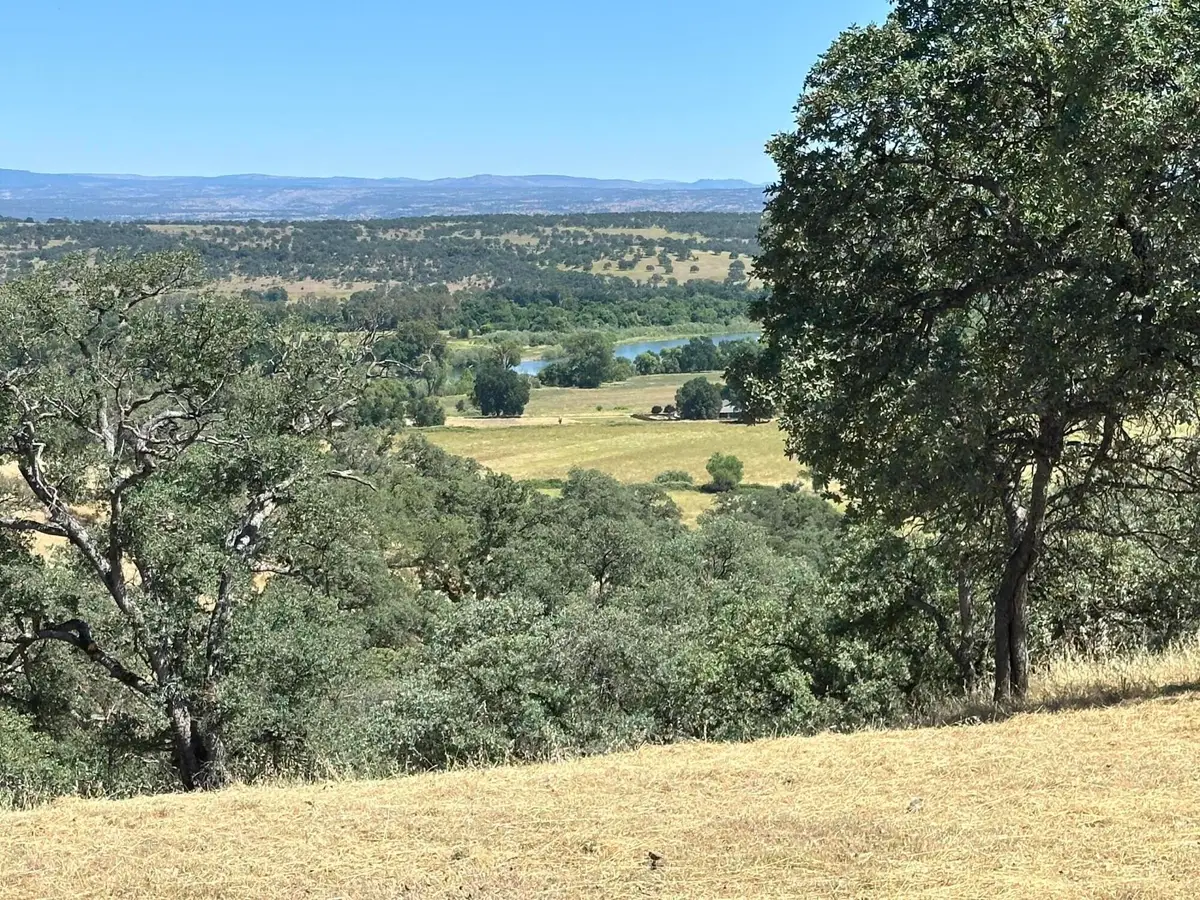19691 Kingsley Cove Place, Cottonwood, CA 96022 - #1