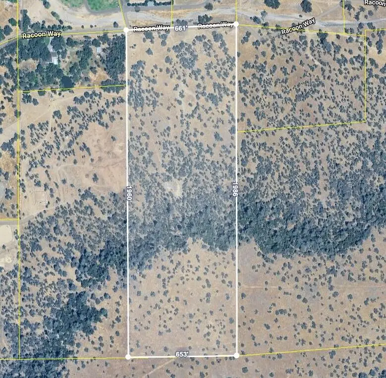 0000 Racoon Way, Oak Run, CA 96069 - #3