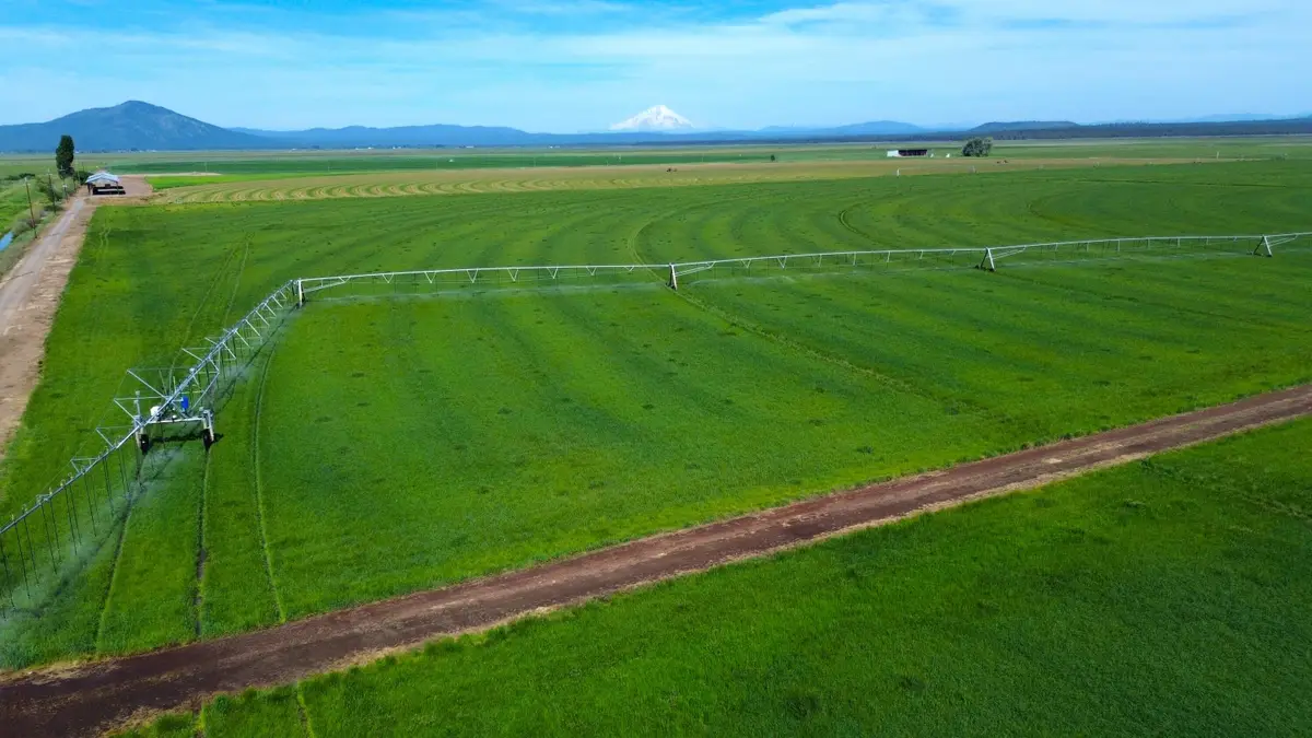 Lot 002 Lee Road, McArthur, CA 96056 - #1