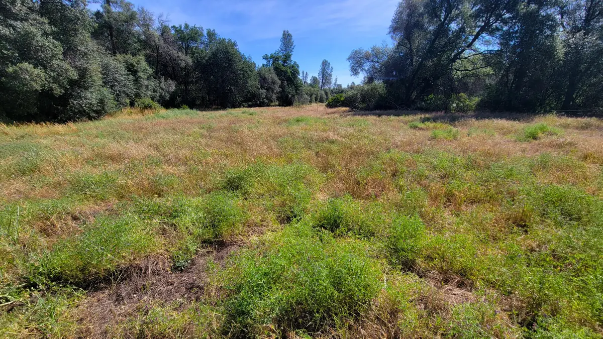 000 Brincat Manor Road, Cottonwood, CA 96022 - #1