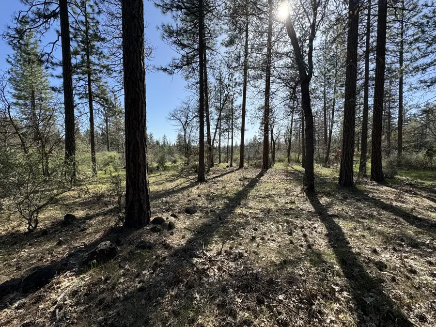 Day Road, McArthur, CA 96056 - #2