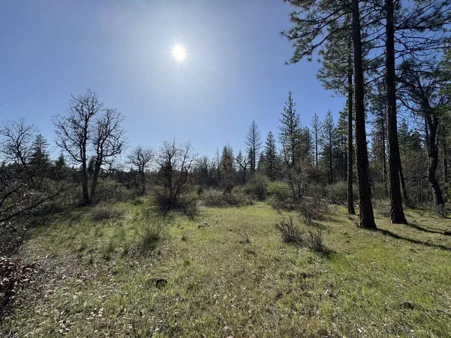 Day Road, McArthur, CA 96056 - #3