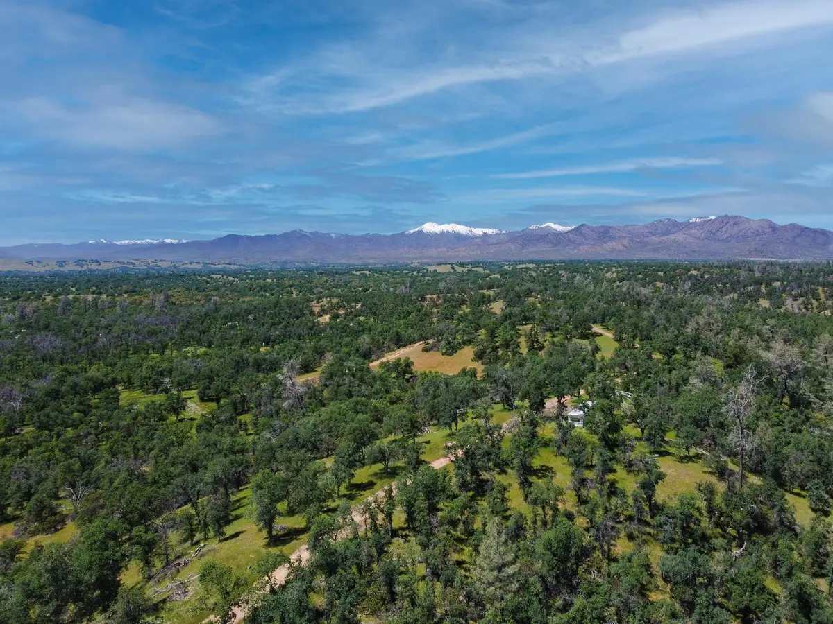 40 Acres Two Feathers Road, Cottonwood, CA 96022 - #1