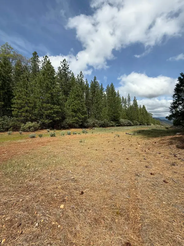Ponderosa Way, Shingletown, CA 96088