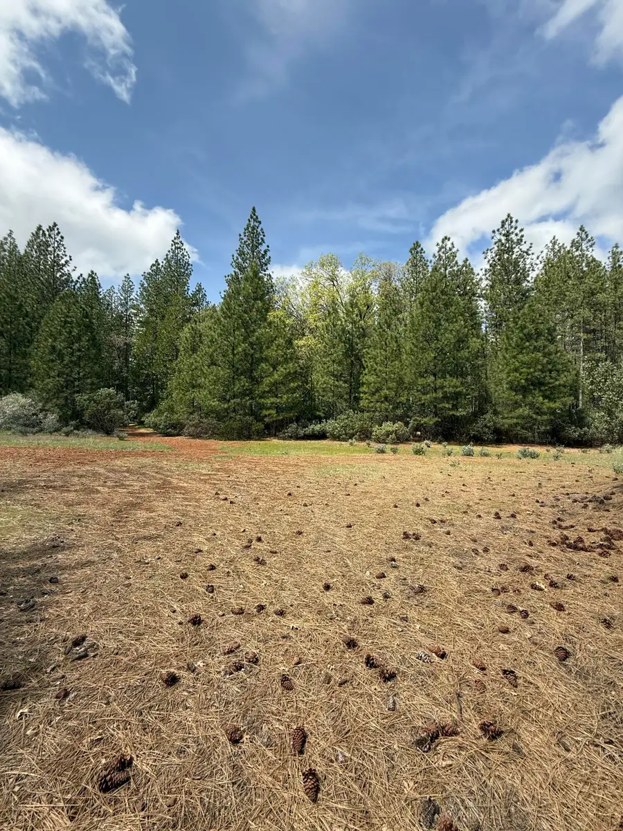 Ponderosa Way, Shingletown, CA 96088 - #2