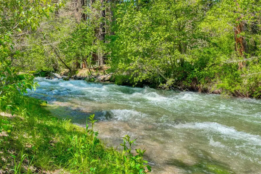 42578 Dipper Road, Old Station, CA 96071 - #3