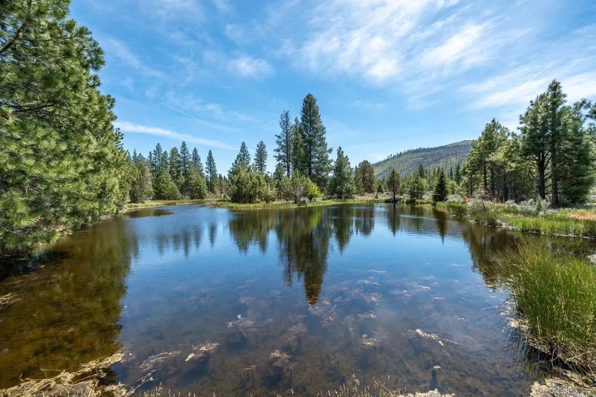 19031 Old State Highway, Macdoel, CA 96058 - #1