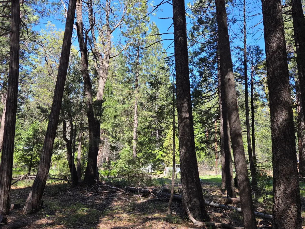 Lot 16 Arbor Lane, Shingletown, CA 96088 - #1