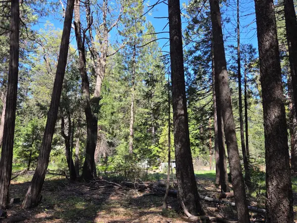 Lot 16 Arbor Lane, Shingletown, CA 96088