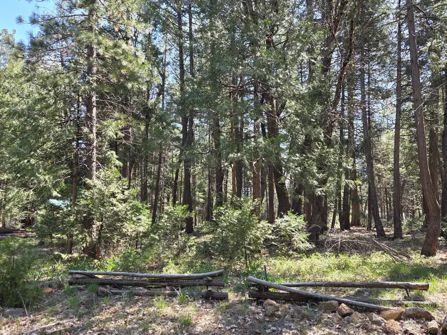 Lot 16 Arbor Lane, Shingletown, CA 96088 - #2