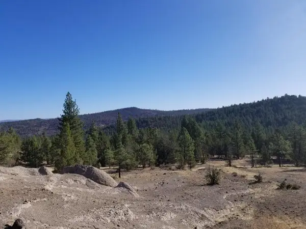 NSA Anderson Ranch Road, Bieber, CA 96009